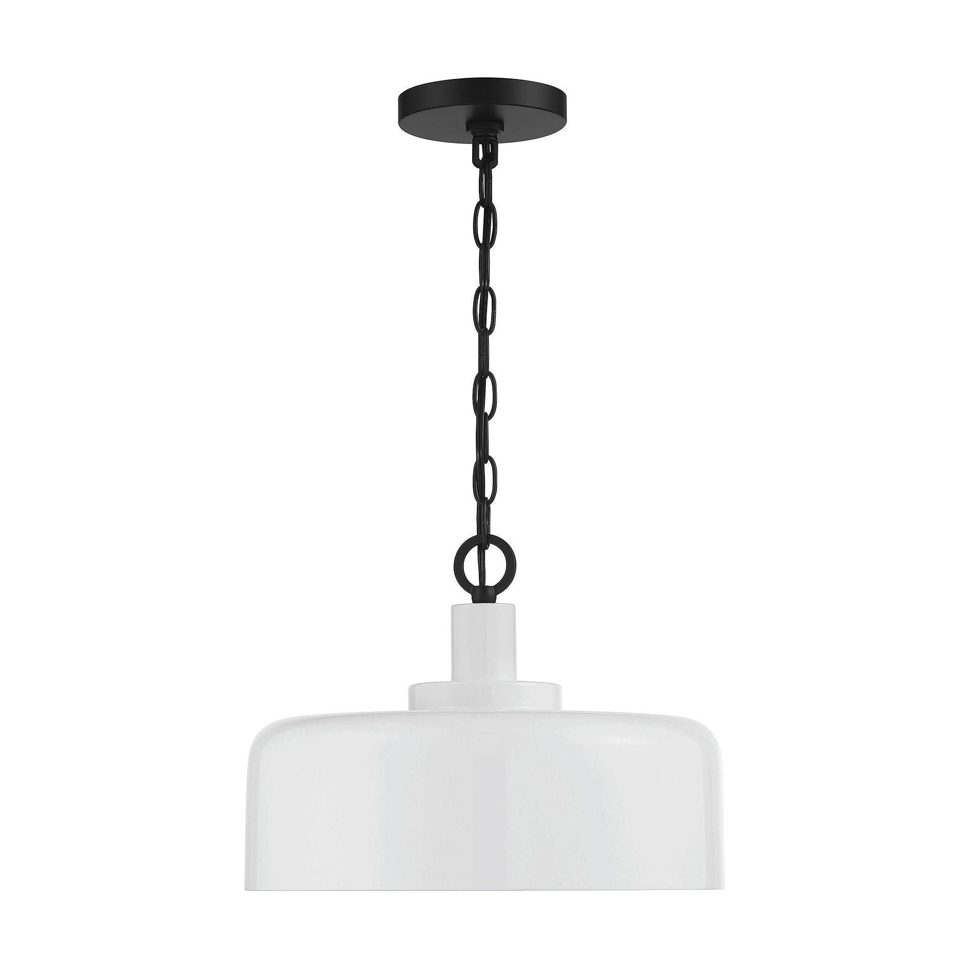 Meridian - 1-Light Pendant - Lights Canada