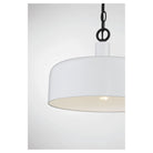 Meridian - 1-Light Pendant - Lights Canada
