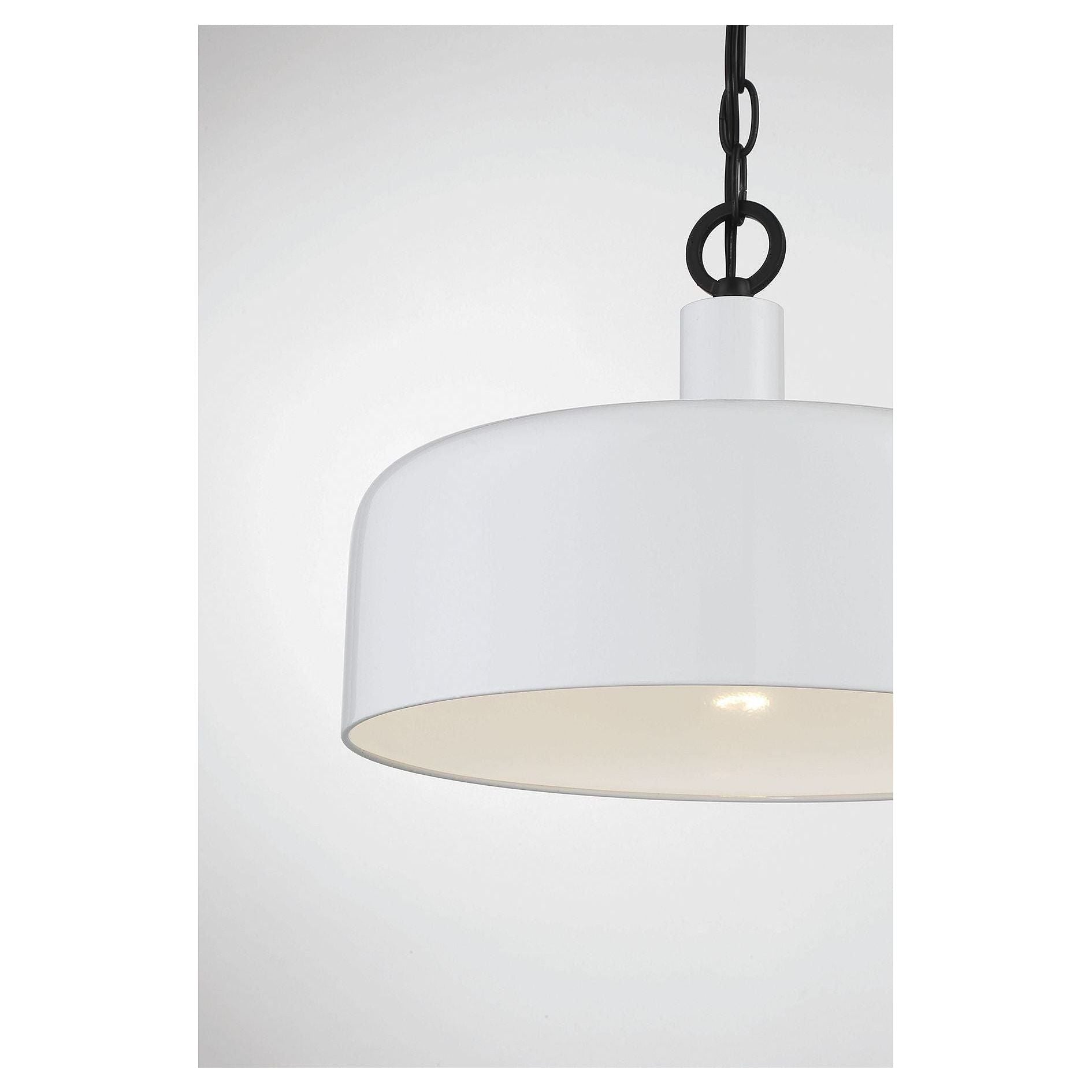 Meridian - 1-Light Pendant - Lights Canada