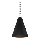 Meridian - 1-Light Pendant - Lights Canada