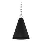 Meridian - 1-Light Pendant - Lights Canada