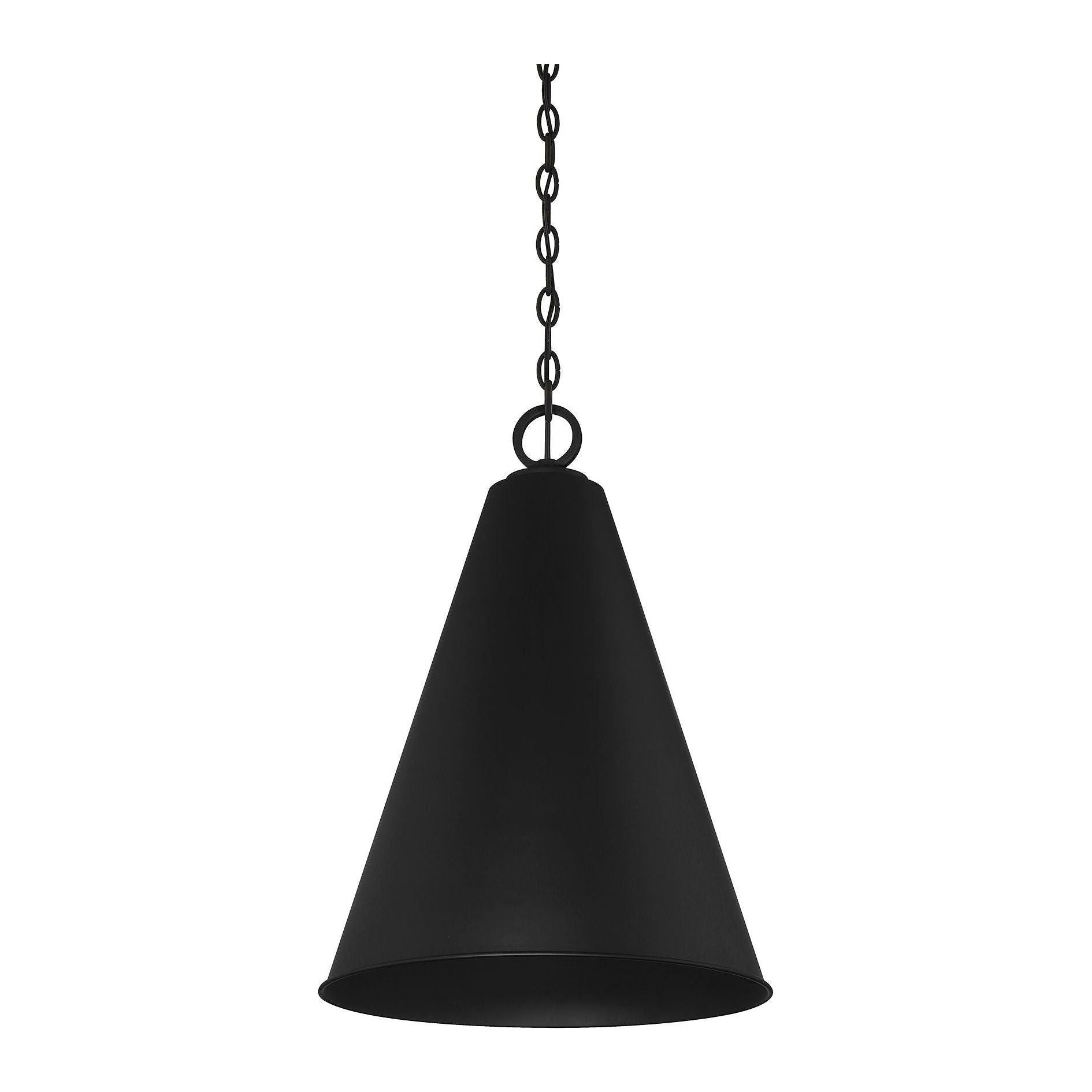 Meridian - 1-Light Pendant - Lights Canada