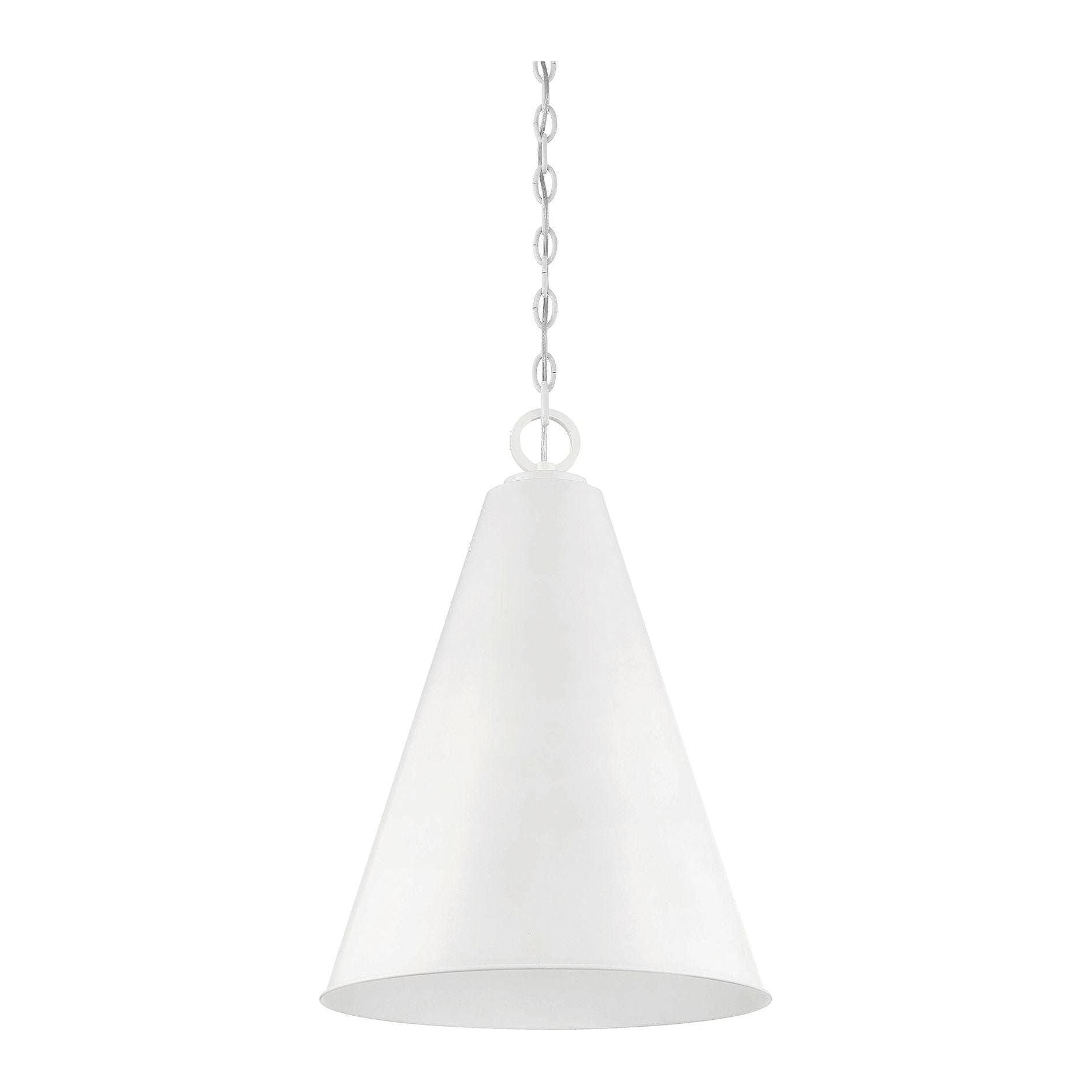 Meridian - 1-Light Pendant - Lights Canada