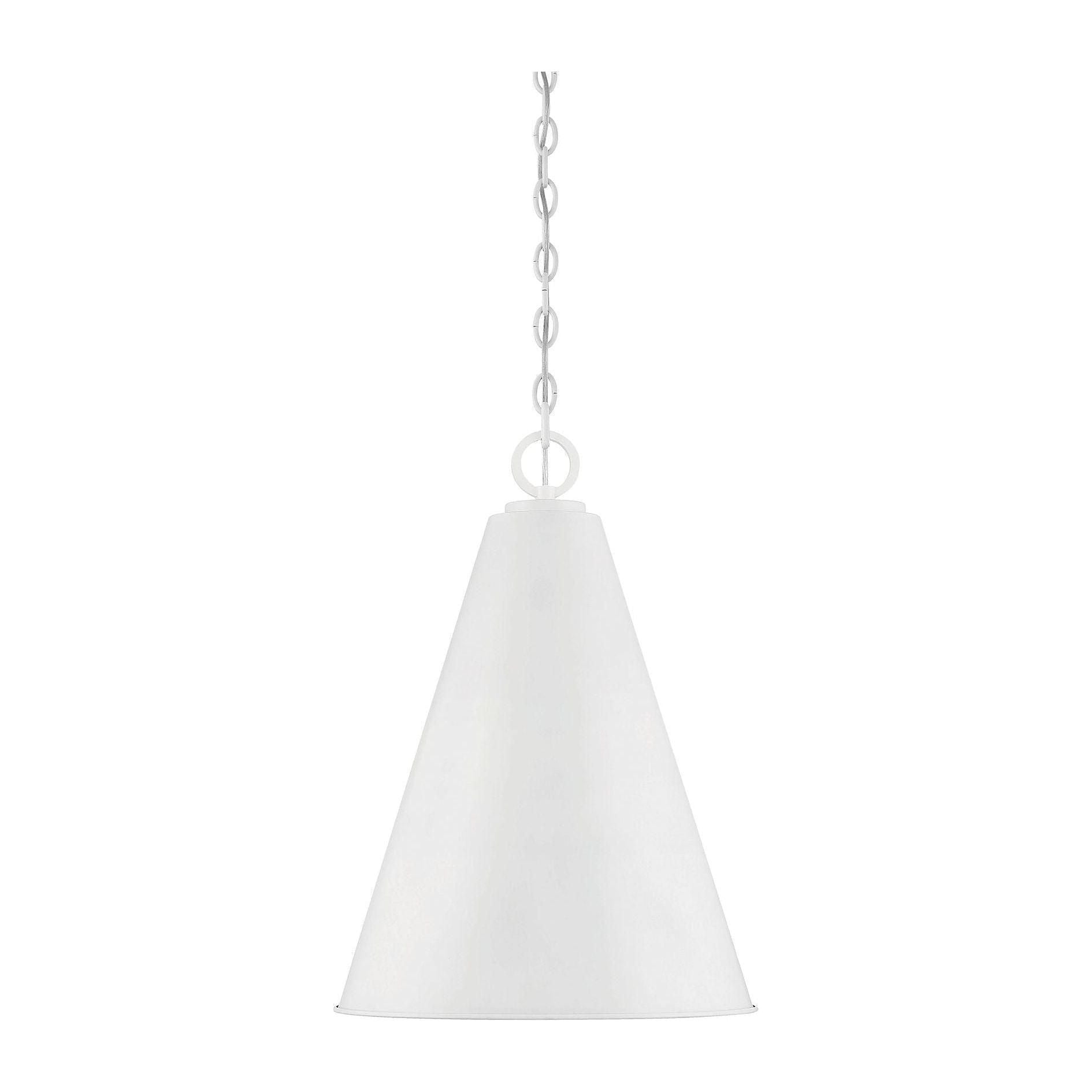 Meridian - 1-Light Pendant - Lights Canada