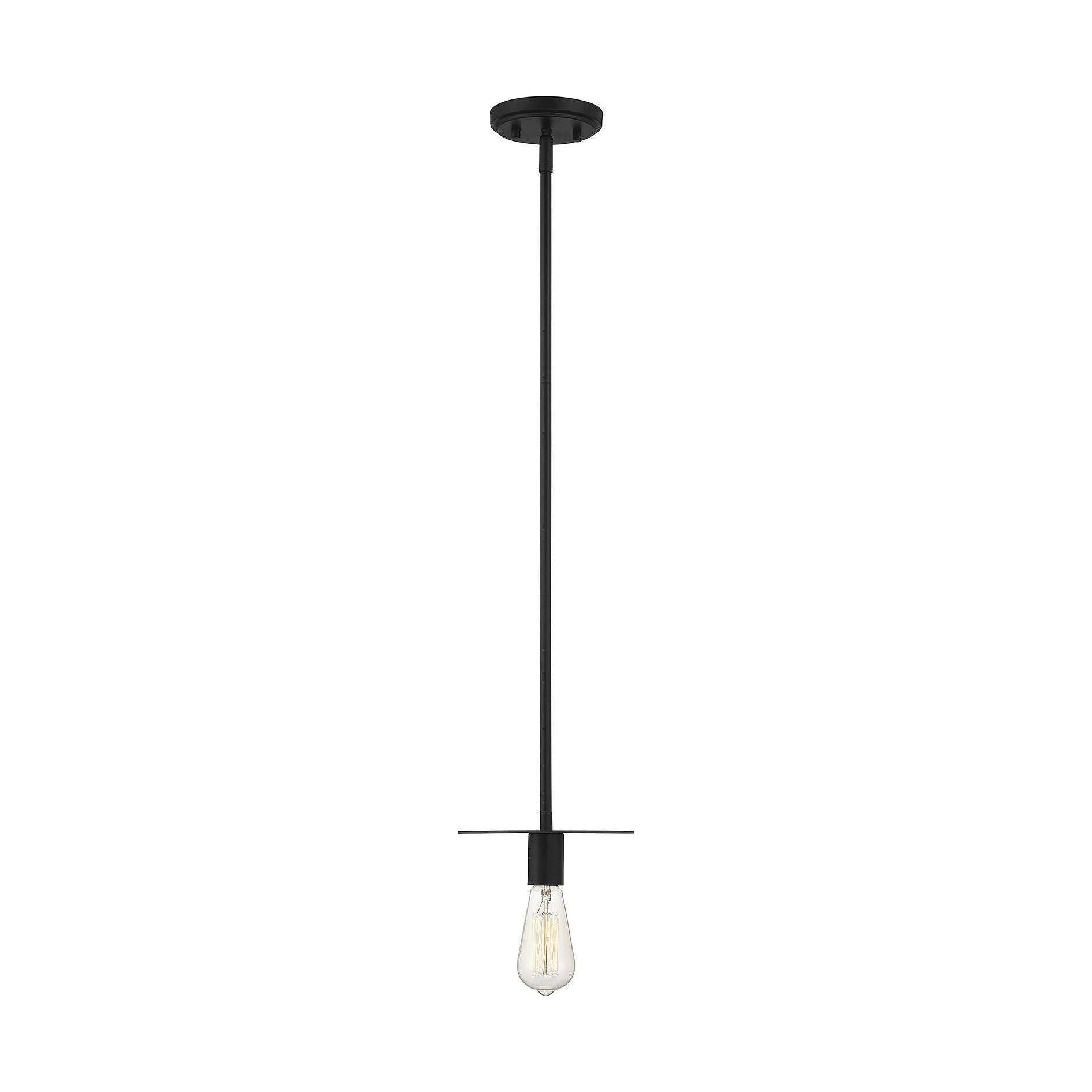 Meridian - 1-Light Mini Pendant - Lights Canada