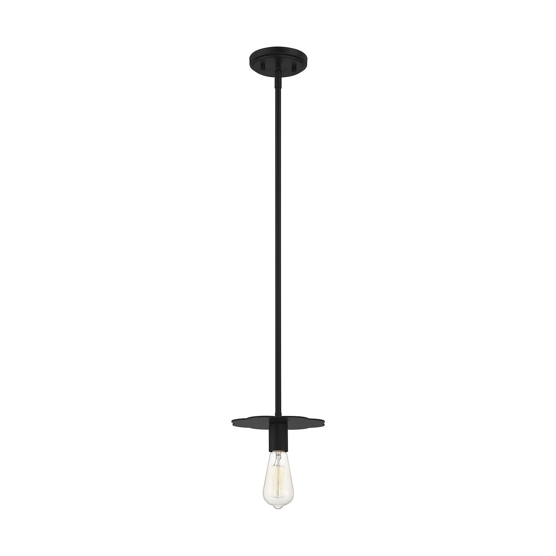 Meridian - 1-Light Mini Pendant - Lights Canada