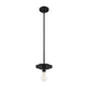 Meridian - 1-Light Mini Pendant - Lights Canada