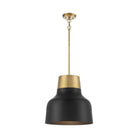 Meridian - 1-Light Pendant - Lights Canada