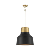 1-Light Pendant