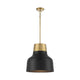 Meridian - 1-Light Pendant - Lights Canada