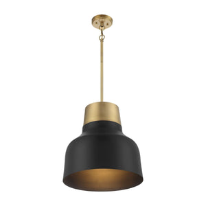 Meridian - 1-Light Pendant - Lights Canada