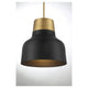 Meridian - 1-Light Pendant - Lights Canada