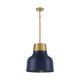Meridian - 1-Light Pendant - Lights Canada