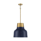 Meridian - 1-Light Pendant - Lights Canada