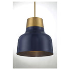 Meridian - 1-Light Pendant - Lights Canada
