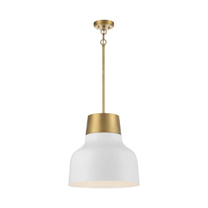 Meridian - 1-Light Pendant - Lights Canada