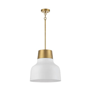 Meridian - 1-Light Pendant - Lights Canada