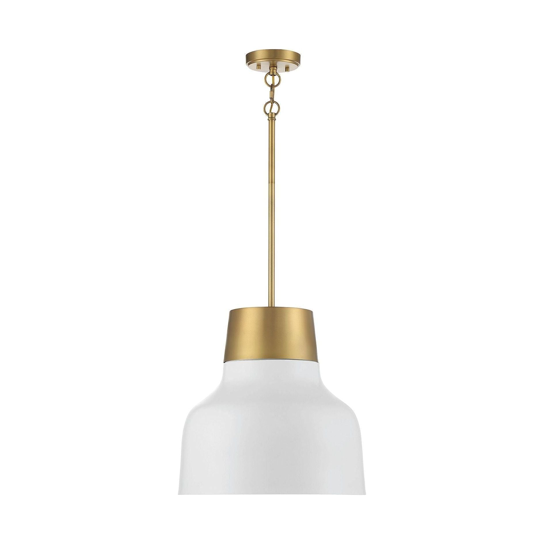 Meridian - 1-Light Pendant - Lights Canada