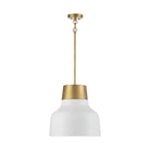 Meridian - 1-Light Pendant - Lights Canada