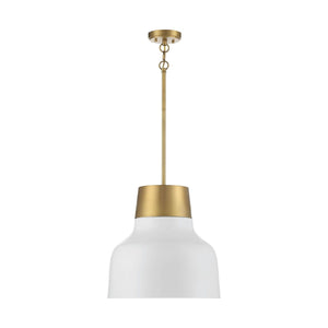 Meridian - 1-Light Pendant - Lights Canada