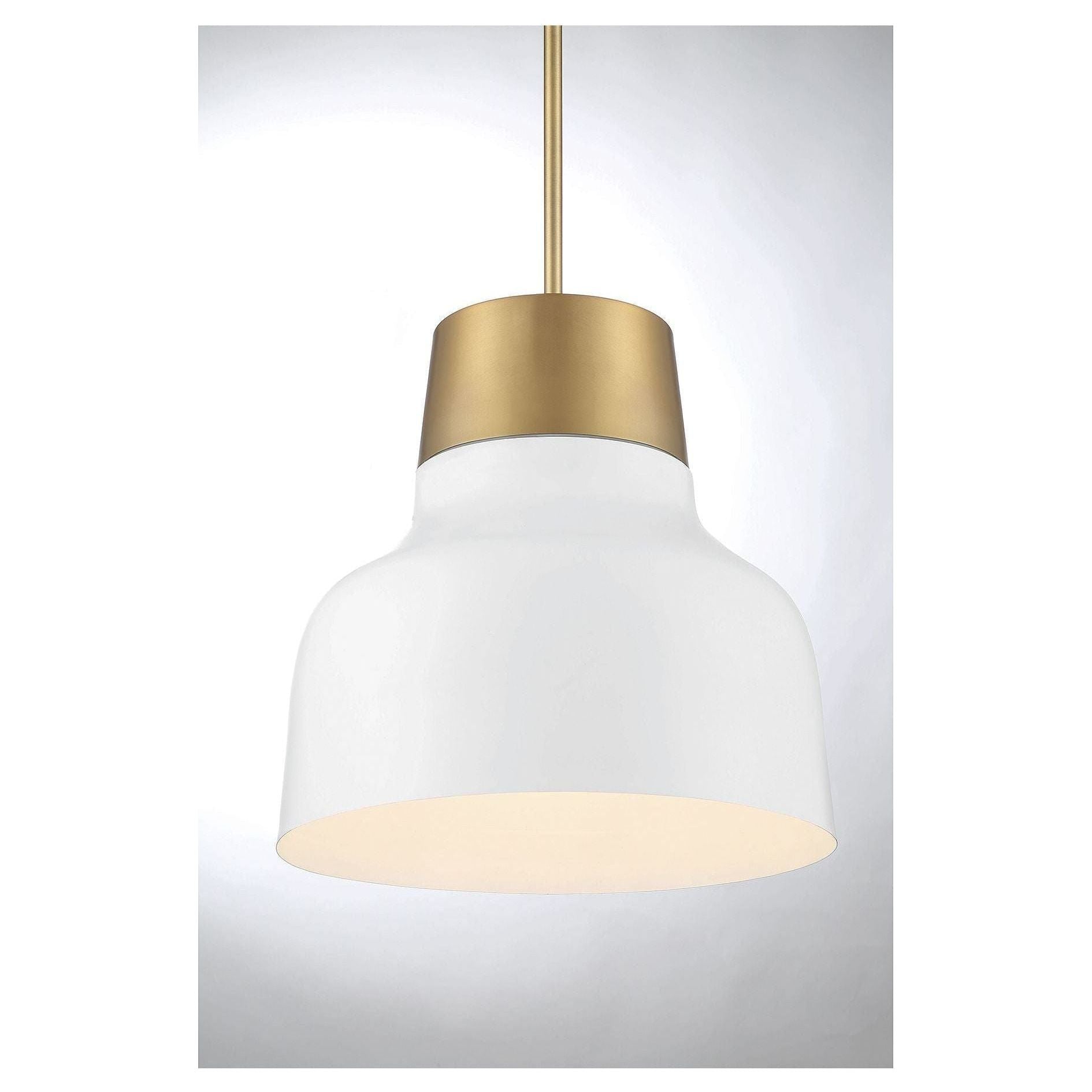 Meridian - 1-Light Pendant - Lights Canada