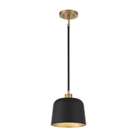 1-Light Pendant