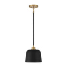 Meridian - 1-Light Pendant - Lights Canada