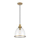 Meridian - 1-Light Pendant - Lights Canada