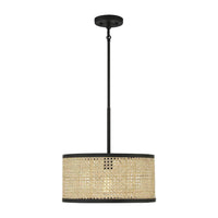 1-Light Pendant