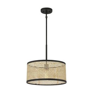 Meridian - 1-Light Pendant - Lights Canada