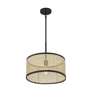 Meridian - 1-Light Pendant - Lights Canada