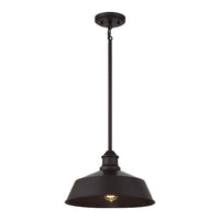 1-Light Pendant
