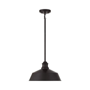 Meridian - 1-Light Pendant - Lights Canada