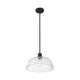 Meridian - 1-Light Pendant - Lights Canada