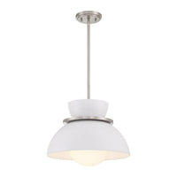 1-Light Pendant