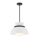 Meridian - 1-Light Pendant - Lights Canada