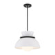 Meridian - 1-Light Pendant - Lights Canada