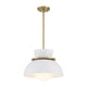 Meridian - 1-Light Pendant - Lights Canada