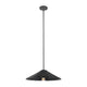 1-Light Pendant