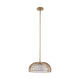 1-Light Convertible Pendant / Semi Flush