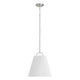 1-Light Pendant