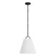 1-Light Pendant