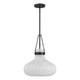 1-Light Pendant