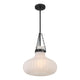 1-Light Pendant