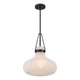 1-Light Pendant