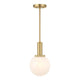 1-Light Pendant