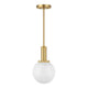 1-Light Pendant