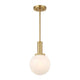 1-Light Pendant