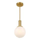 1-Light Pendant