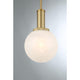 1-Light Pendant
